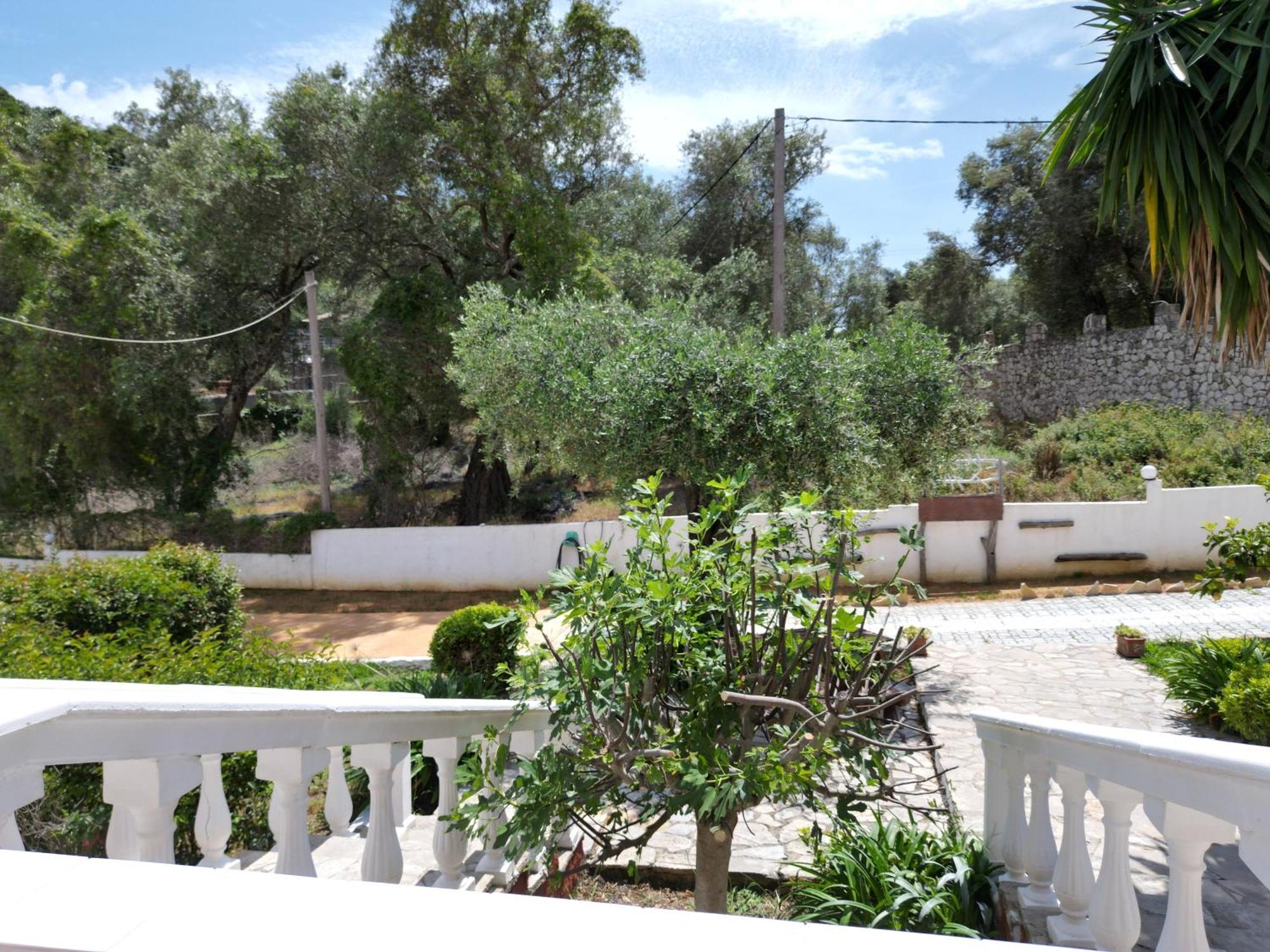 Studios Paleokastritsa - Sun'S Gift Exterior photo